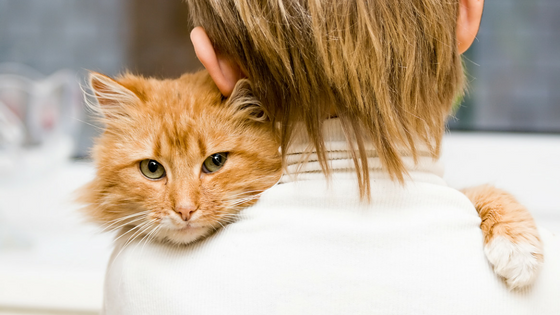 Veterinären Nära Dig i Trelleborg
